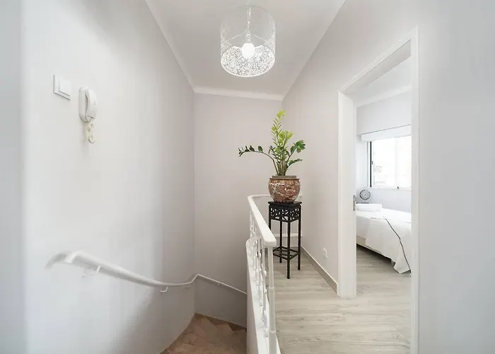 Spacious Stylish *